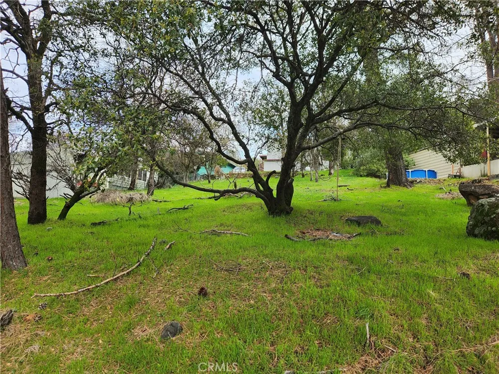 582 Silver Leaf Dr. Oroville, CA 95966