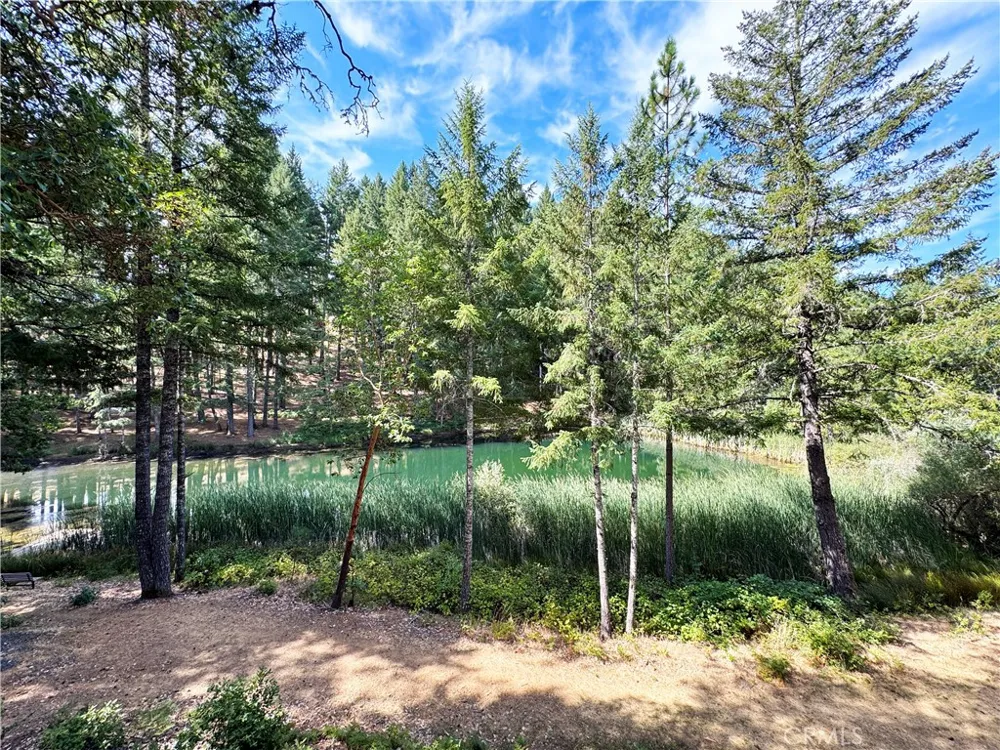4101 Chinquapin Drive Willits, CA 95490