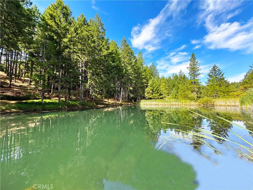4101 Chinquapin Drive Willits, CA 95490