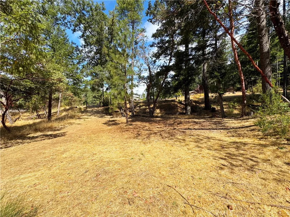 4101 Chinquapin Drive Willits, CA 95490