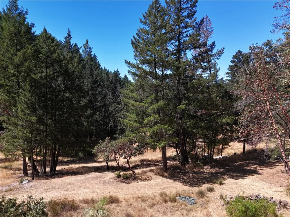 4101 Chinquapin Drive Willits, CA 95490