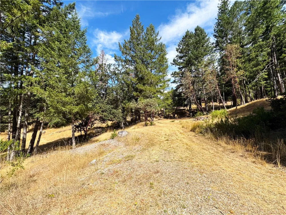 4101 Chinquapin Drive Willits, CA 95490