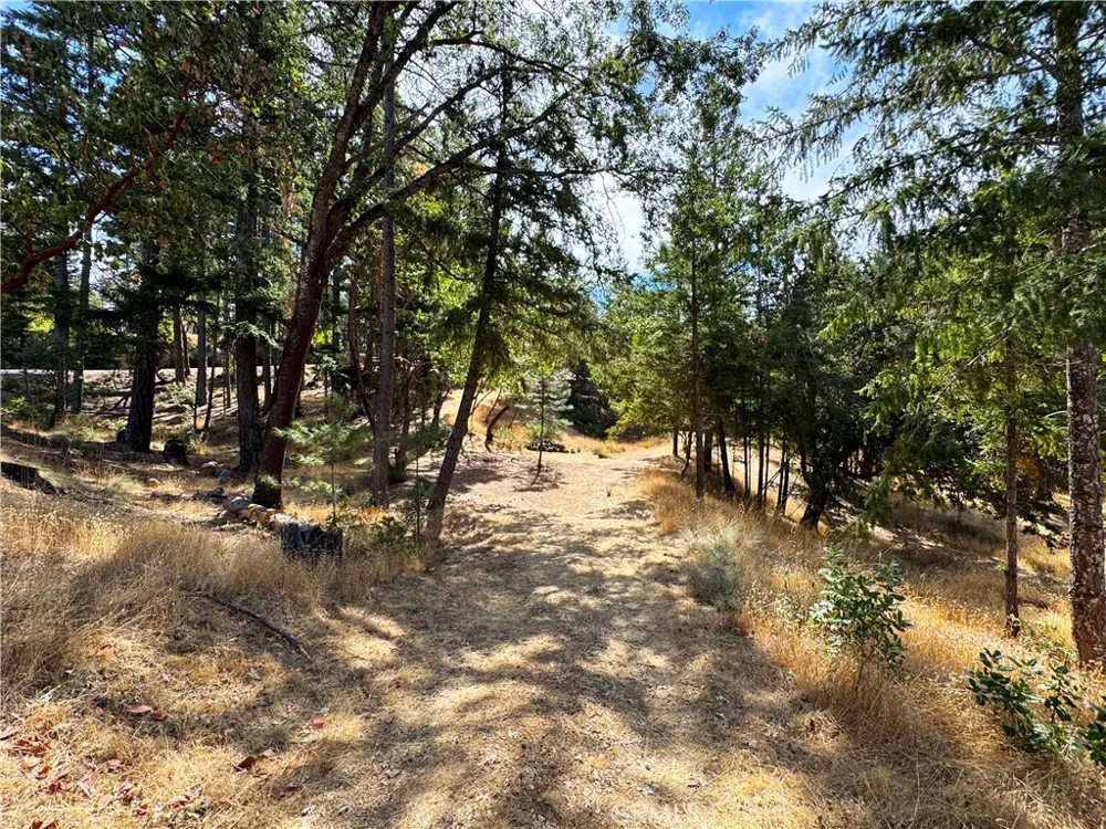 4101 Chinquapin Drive Willits, CA 95490