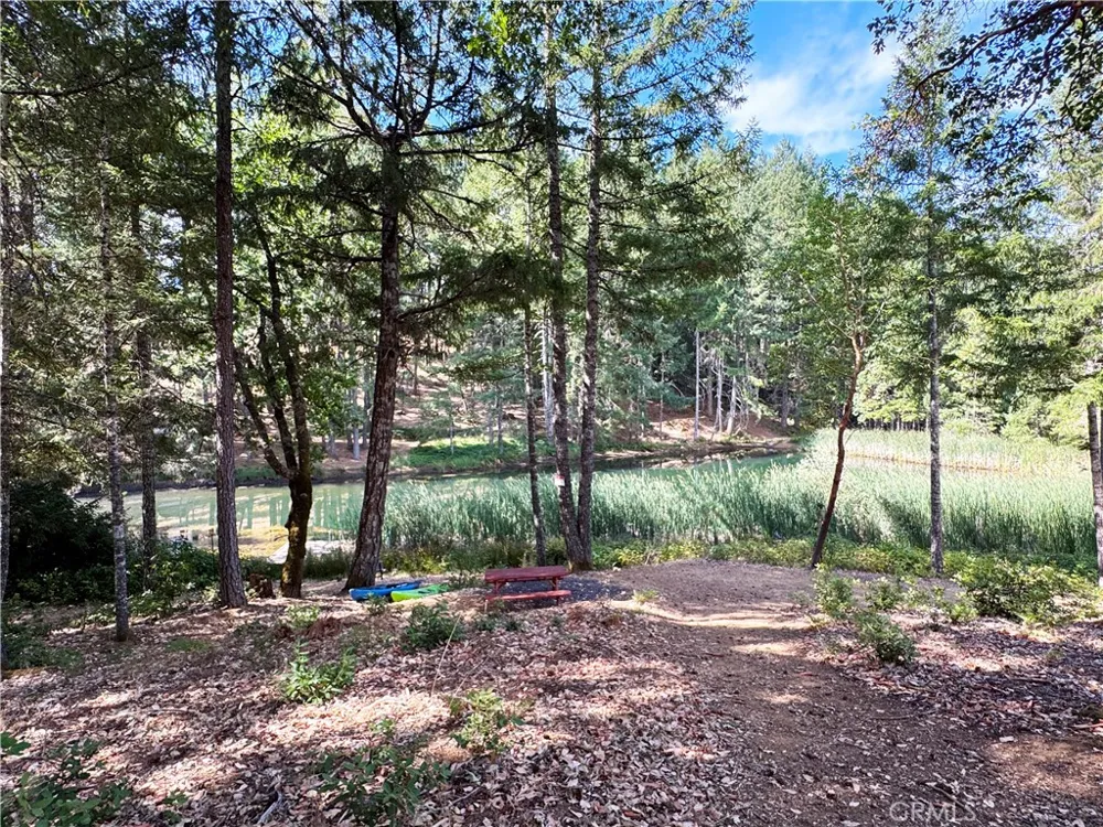 4101 Chinquapin Drive Willits, CA 95490