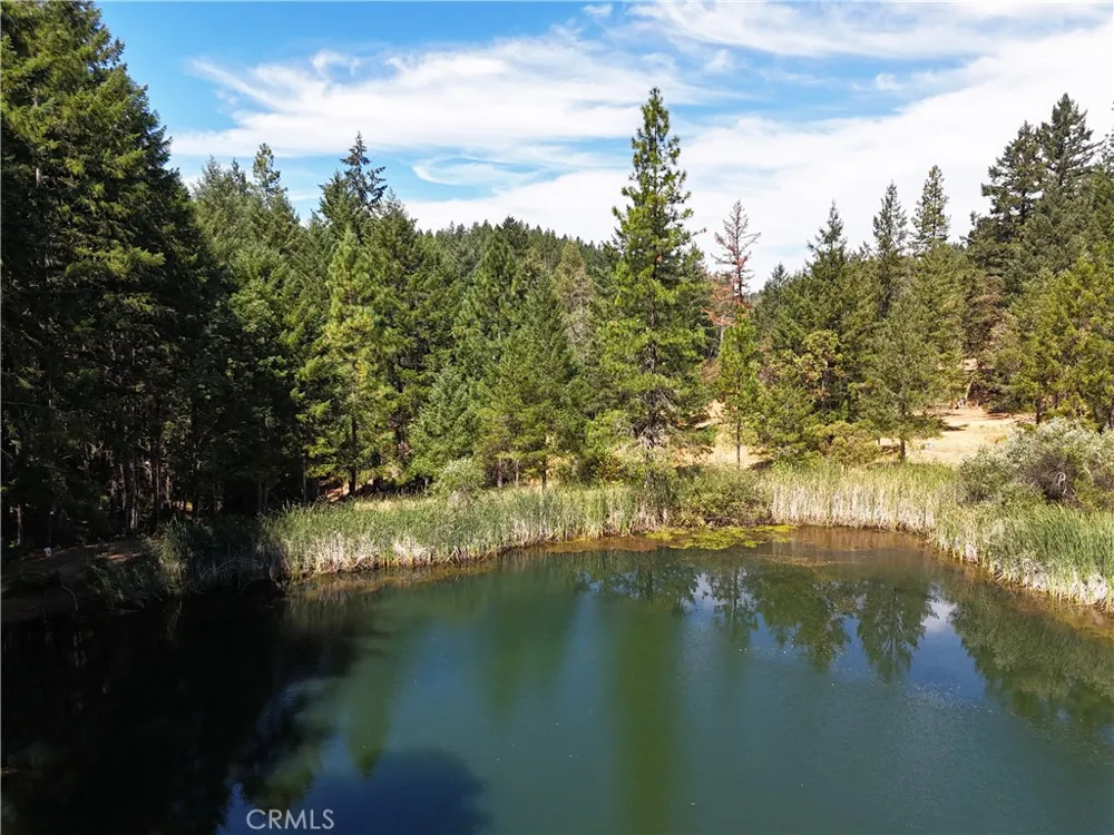 4101 Chinquapin Drive Willits, CA 95490