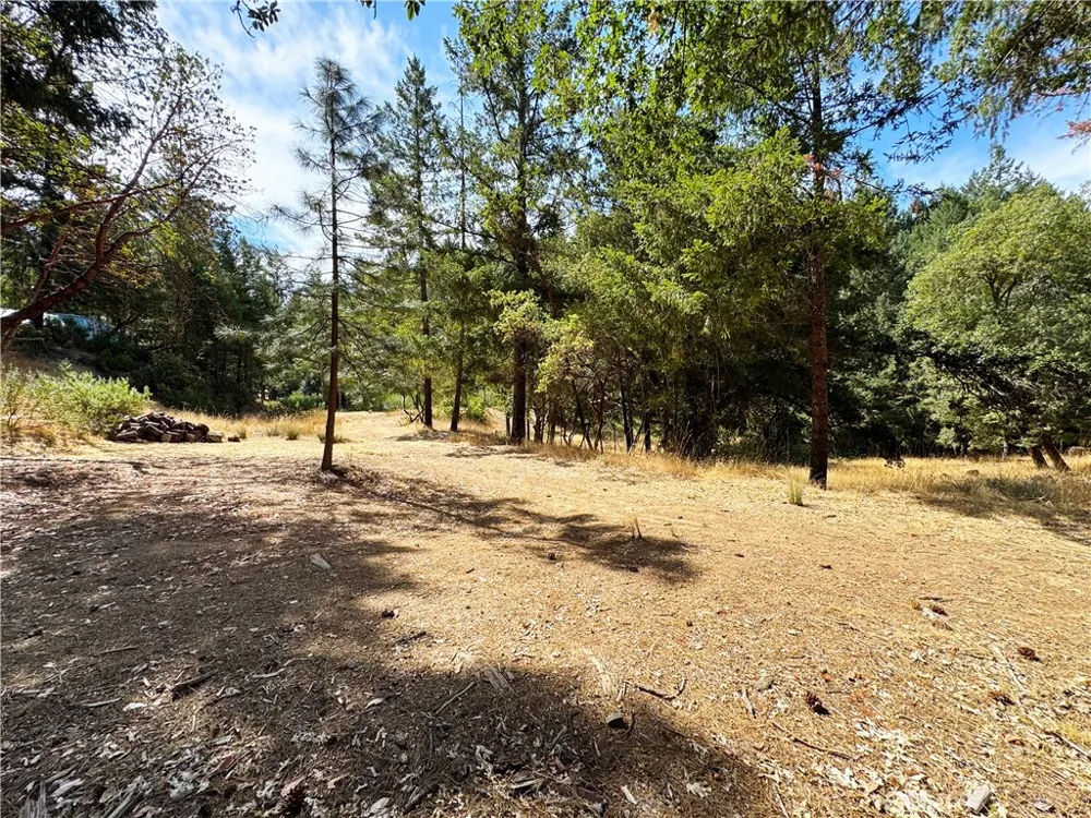 4101 Chinquapin Drive Willits, CA 95490