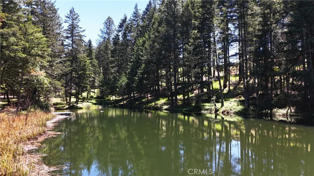 4101 Chinquapin Drive Willits, CA 95490