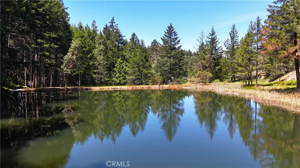 4101 Chinquapin Drive Willits, CA 95490