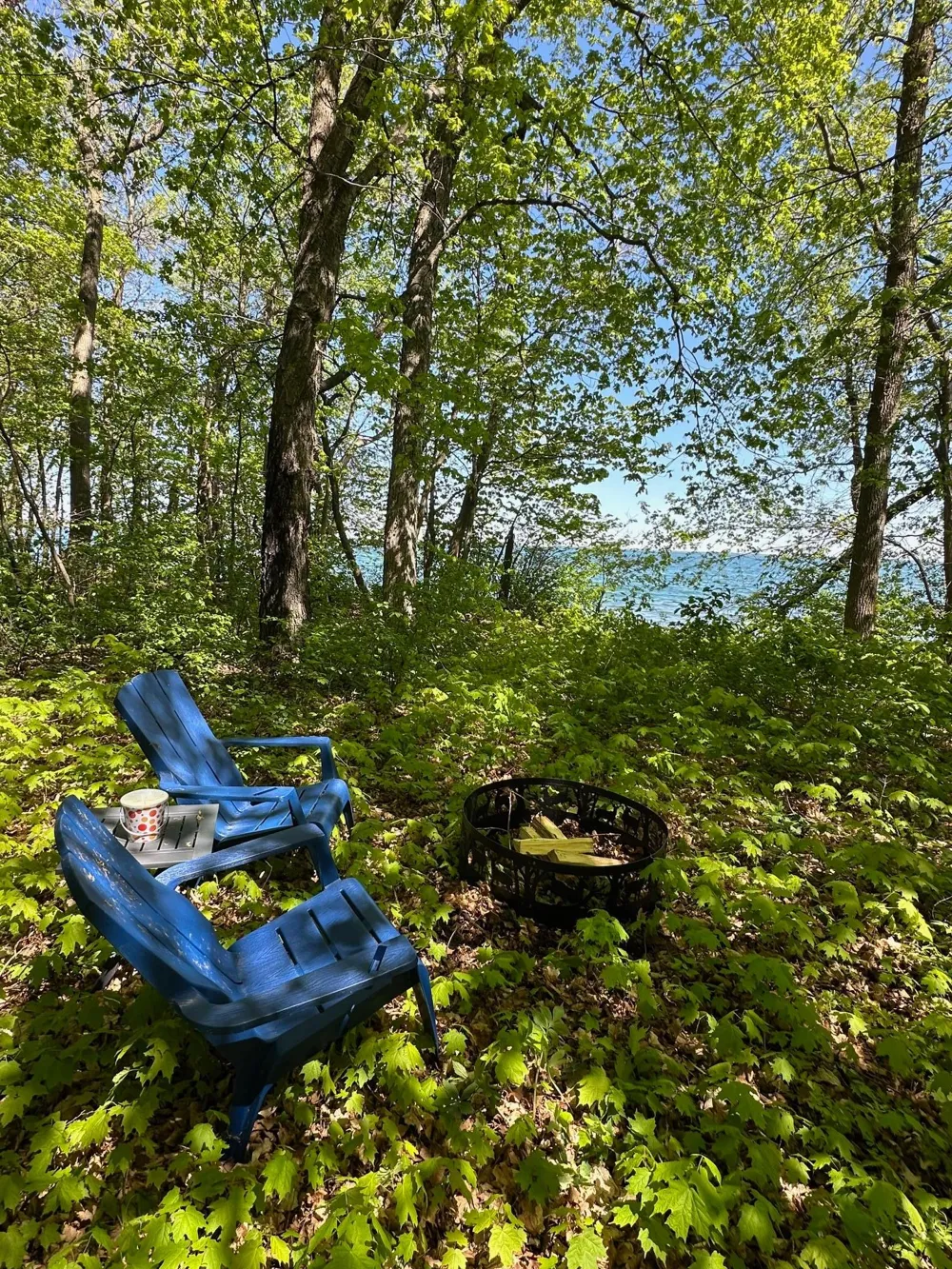 TBD Ottertail Point Drive NW Cass Lake, MN 56633