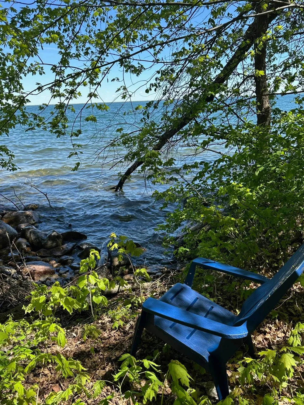 TBD Ottertail Point Drive NW Cass Lake, MN 56633