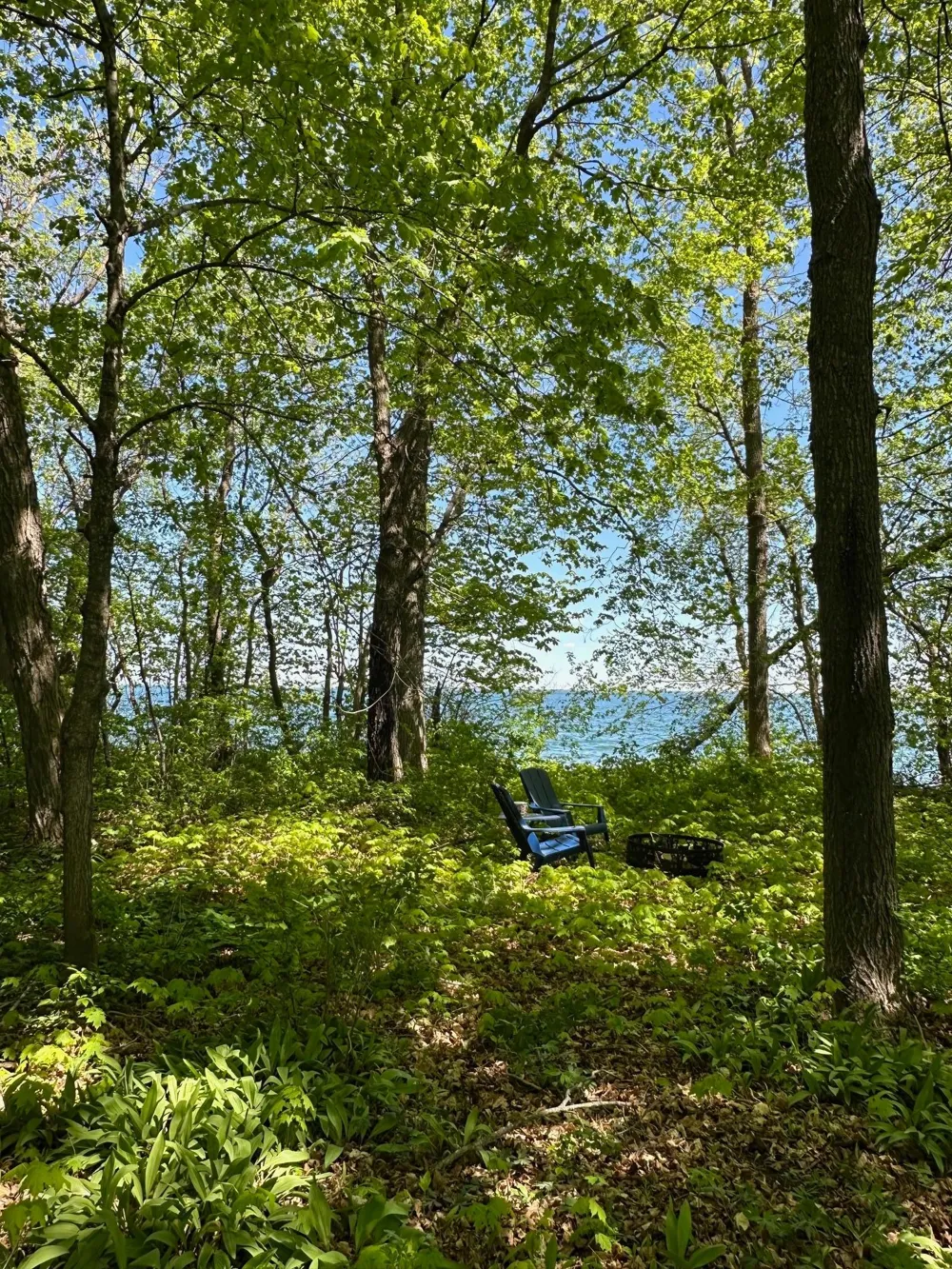 TBD Ottertail Point Drive NW Cass Lake, MN 56633