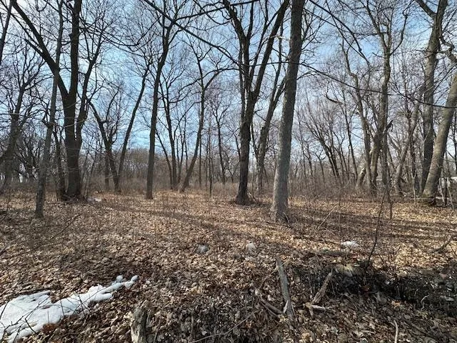 TBD Ottertail Point Drive NW Cass Lake, MN 56633