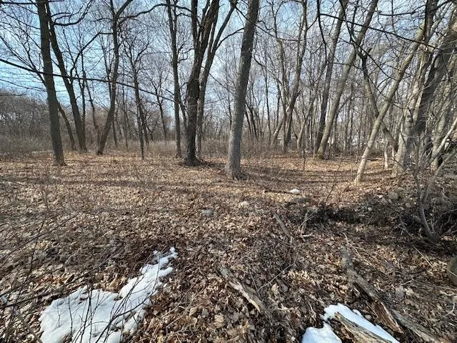 TBD Ottertail Point Drive NW Cass Lake, MN 56633