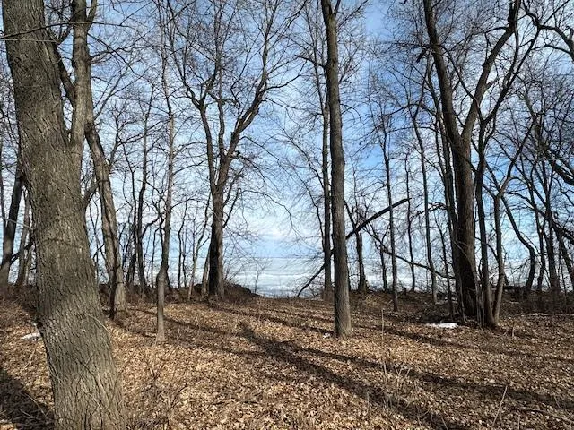 TBD Ottertail Point Drive NW Cass Lake, MN 56633