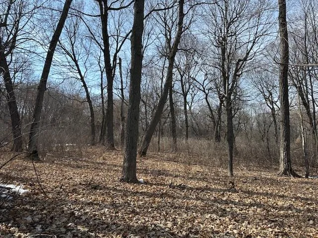 TBD Ottertail Point Drive NW Cass Lake, MN 56633