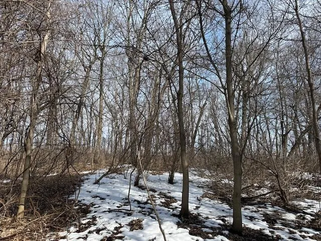 TBD Ottertail Point Drive NW Cass Lake, MN 56633