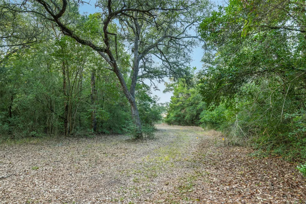 1200 Highway 71 Bypass La Grange, TX 78945
