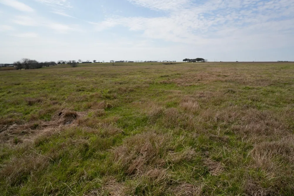 1011 Fm 956 Schulenburg, TX 78956