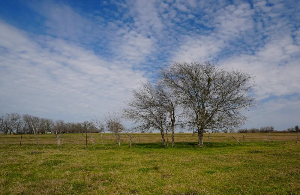 1011 Fm 956 Schulenburg, TX 78956