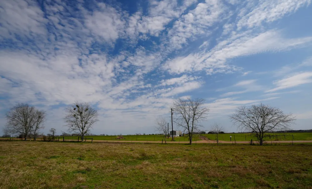 1011 Fm 956 Schulenburg, TX 78956
