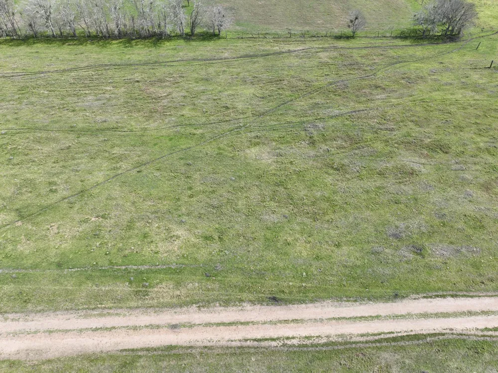 1011 Fm 956 Schulenburg, TX 78956