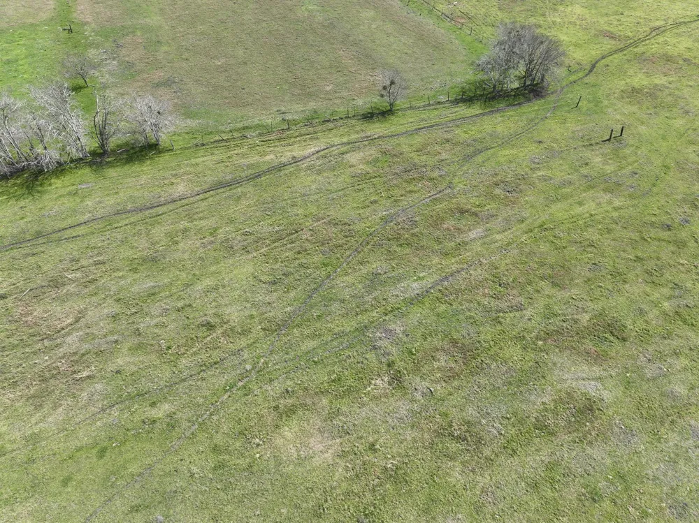 1011 Fm 956 Schulenburg, TX 78956