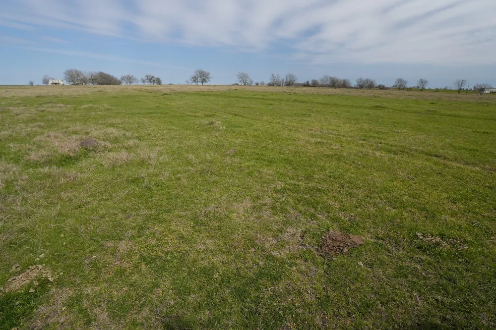 1011 Fm 956 Schulenburg, TX 78956