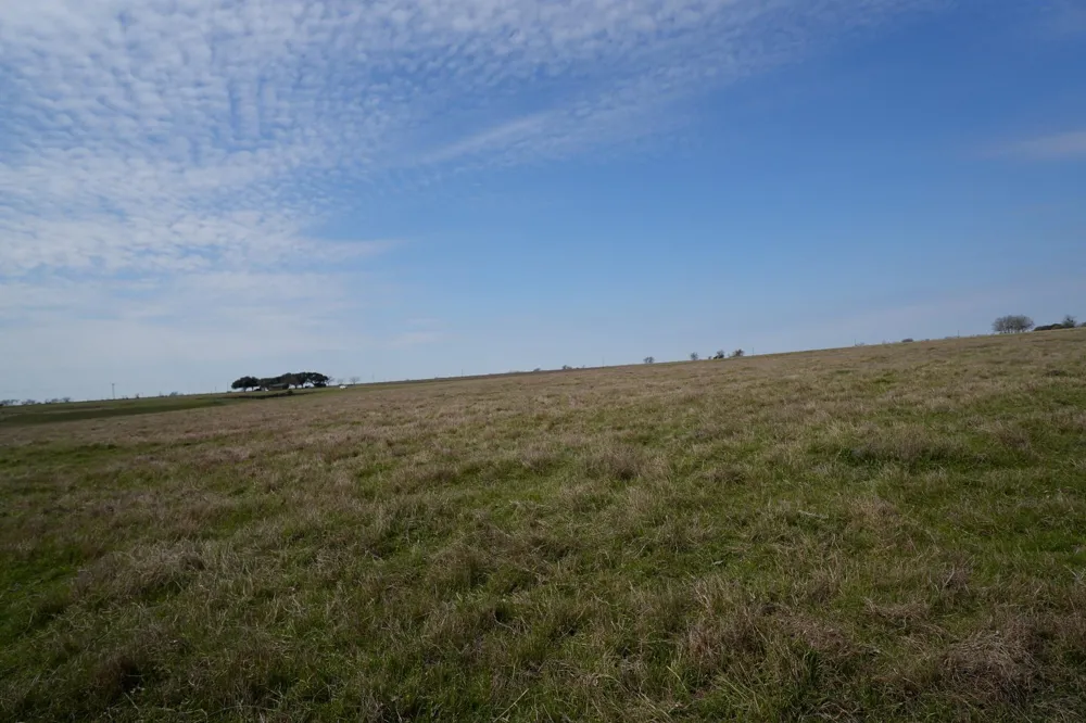 1011 Fm 956 Schulenburg, TX 78956