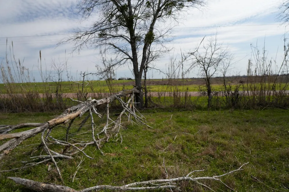 1011 Fm 956 Schulenburg, TX 78956