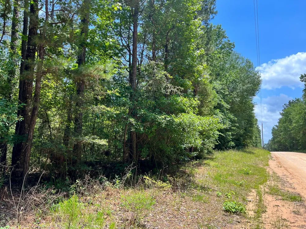 2 Highway 190 Oakhurst, TX 77359
