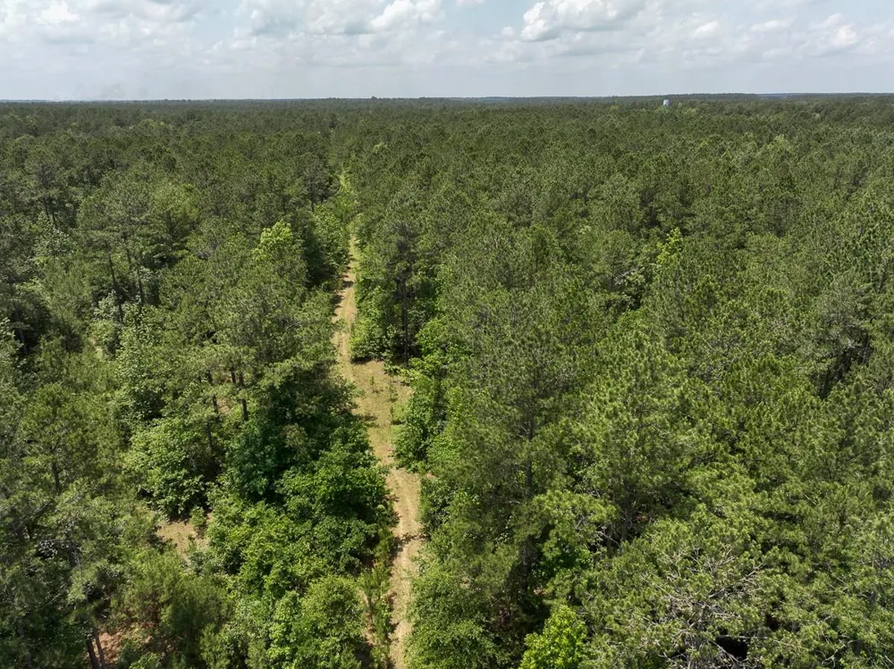 5 Highway 190 Oakhurst, TX 77359