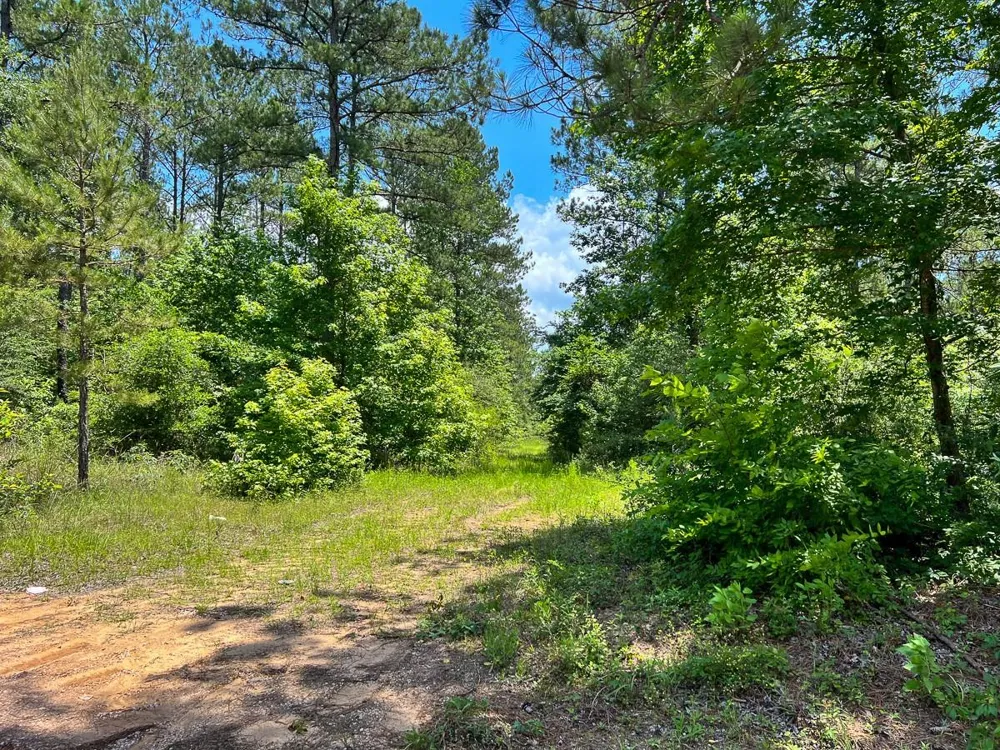 4 Highway 190 Oakhurst, TX 77359