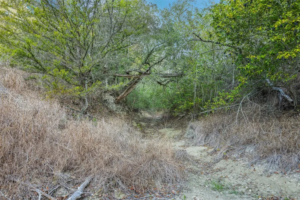 1200 West State Highway 71 Bypass La Grange, TX 78945