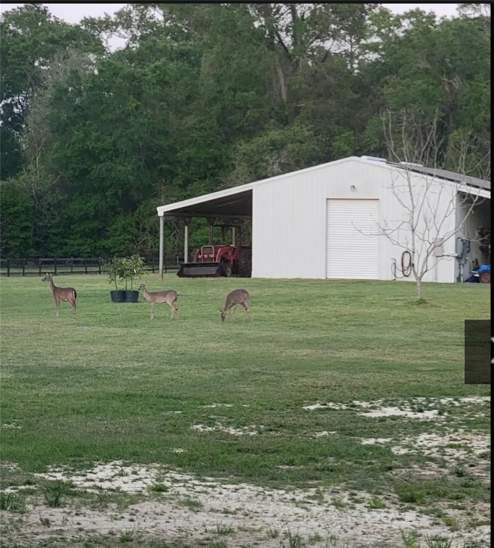 110 Dogwood Lane Lane Lumberton, TX 77657