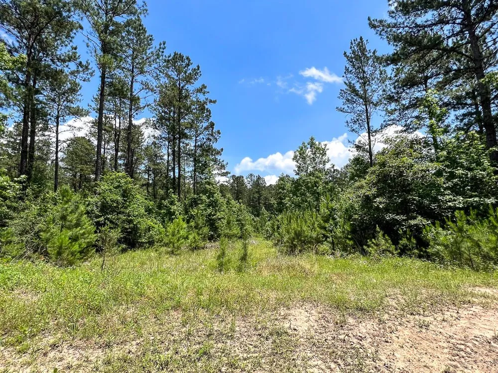 2 Highway 190 Oakhurst, TX 77359