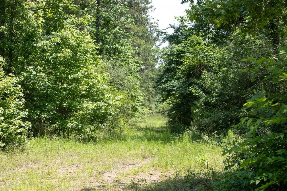2 Highway 190 Oakhurst, TX 77359