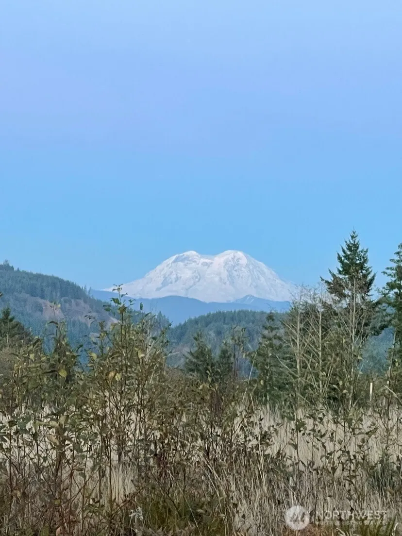 0 0 Salmon Creek Road #0 Mossyrock, WA 98564