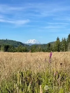 0 0 Salmon Creek Road #0 Mossyrock, WA 98564