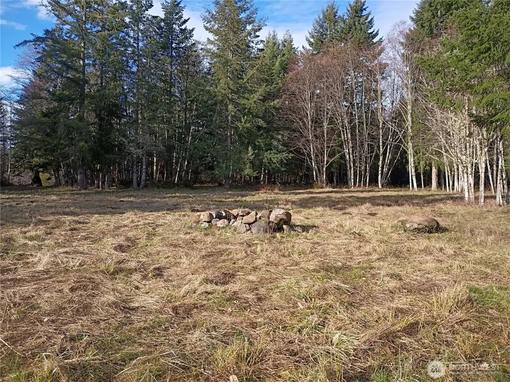 0 0 Salmon Creek Road #0 Mossyrock, WA 98564