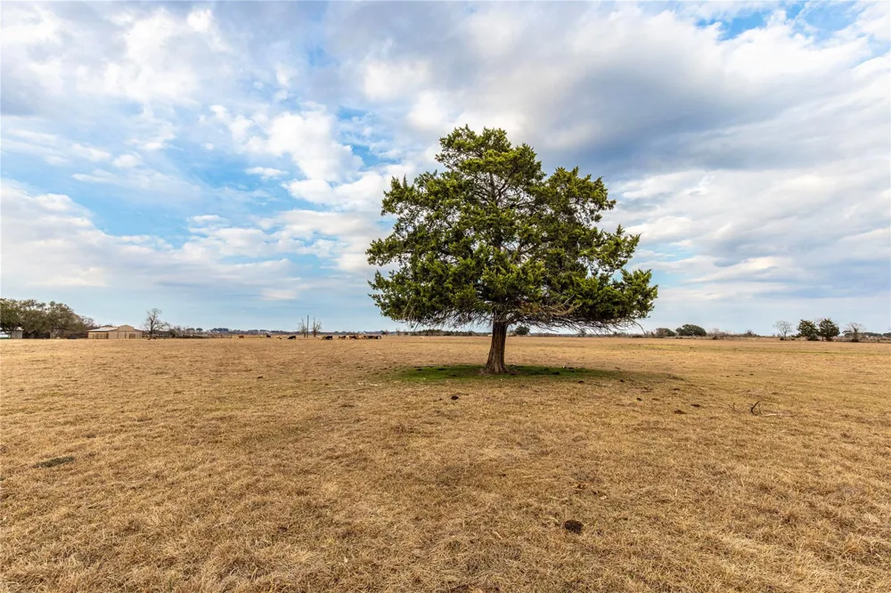 Wiese Road Bellville, TX 77418