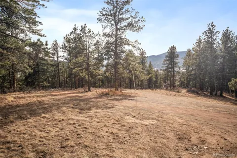 260 Bailey Drive