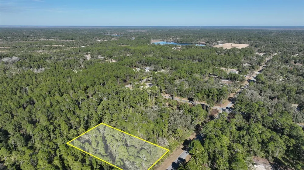 SAFFRON AVENUE Eustis, FL 32736