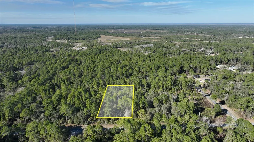 SAFFRON AVENUE Eustis, FL 32736