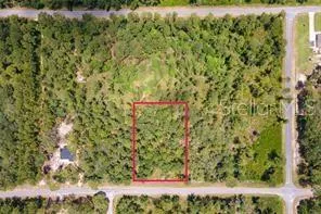 SAFFRON AVENUE Eustis, FL 32736