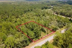SAFFRON AVENUE Eustis, FL 32736