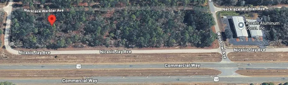 17496 NICASIO JAY AVENUE Weeki Wachee, FL 34614
