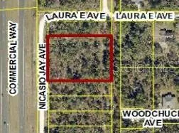 17496 NICASIO JAY AVENUE Weeki Wachee, FL 34614