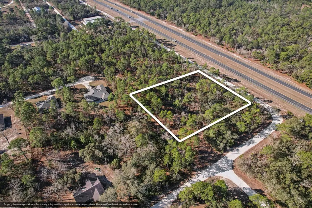 17496 NICASIO JAY AVENUE Weeki Wachee, FL 34614