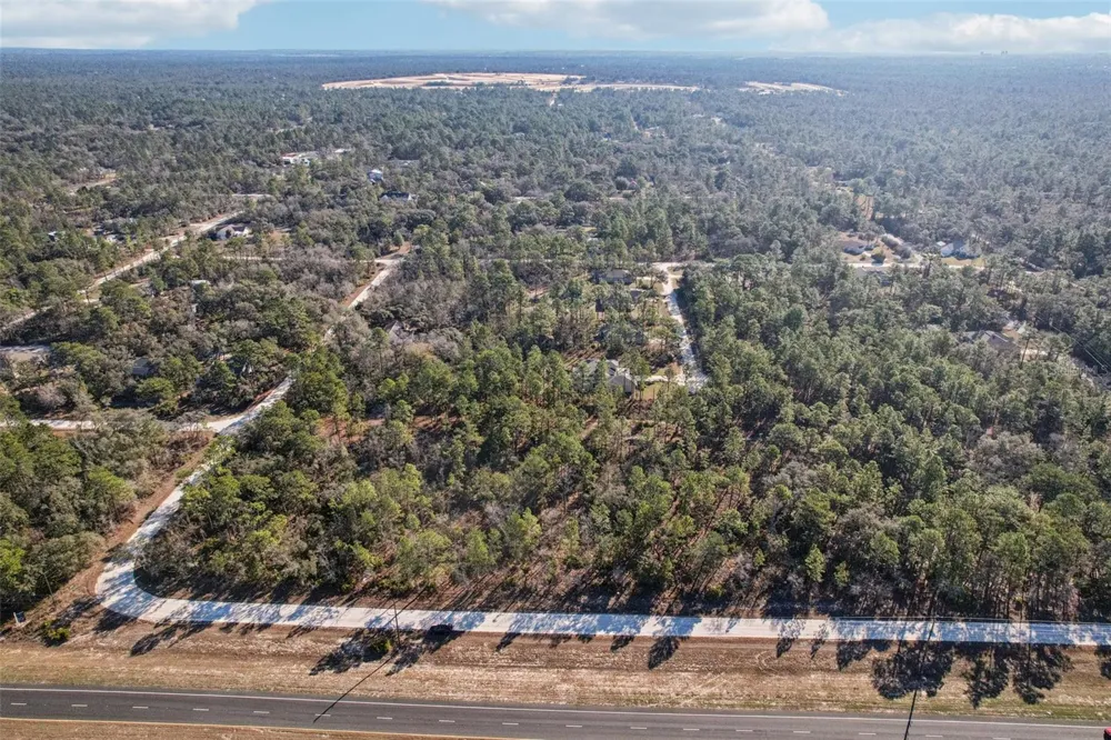 17496 NICASIO JAY AVENUE Weeki Wachee, FL 34614