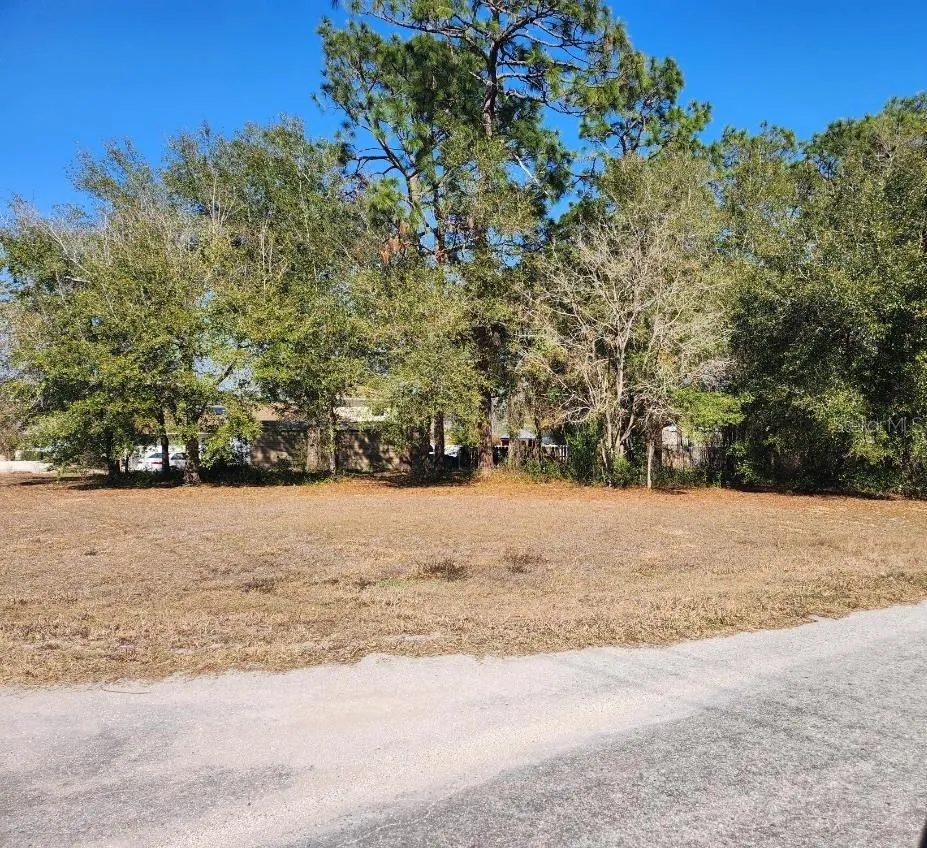 SE 97TH TER Summerfield, FL 34491